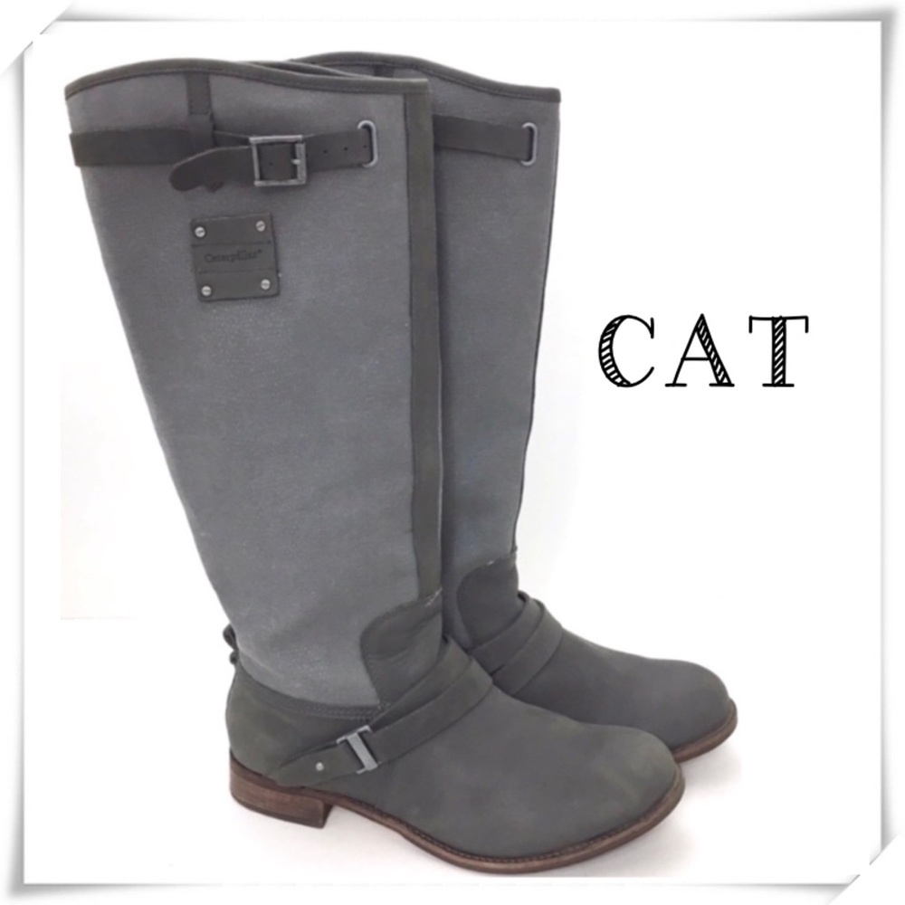 Cat Footwear Corrine leather Riding Knees High Boot Charcoal Gray